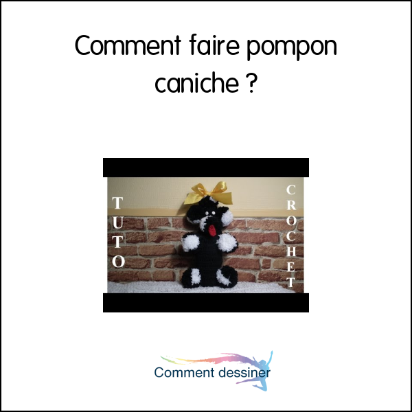 Comment faire pompon caniche